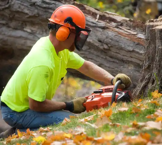 tree services Holmesville